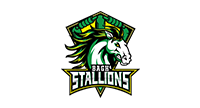 Bagh Stallions