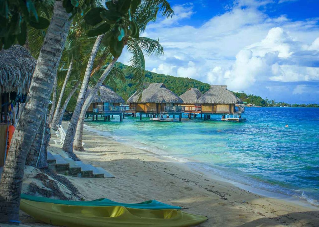 [🌙Moon Update⚔️] Polluted Hub Sailor Piece Script (No Key)