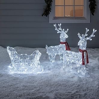 Winter Wonderland Outdoor Adventure