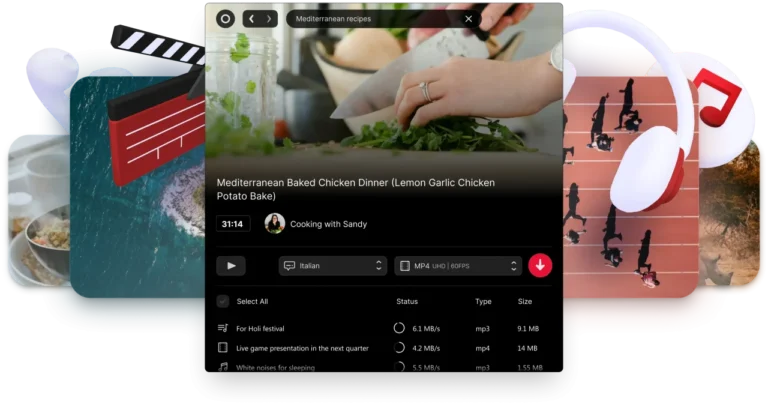 Viddly Youtube Downloader