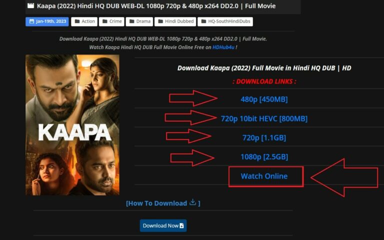 How to Watch Movies on HDhub4u.com?
