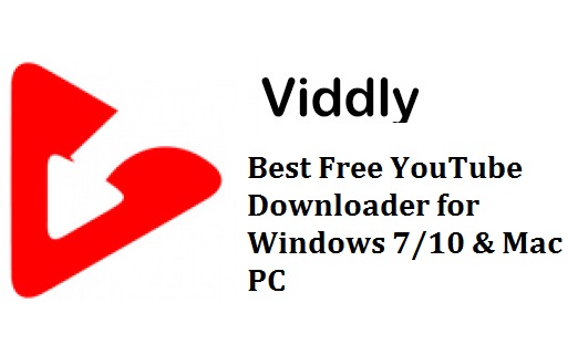 viddly youtube downloader not opening