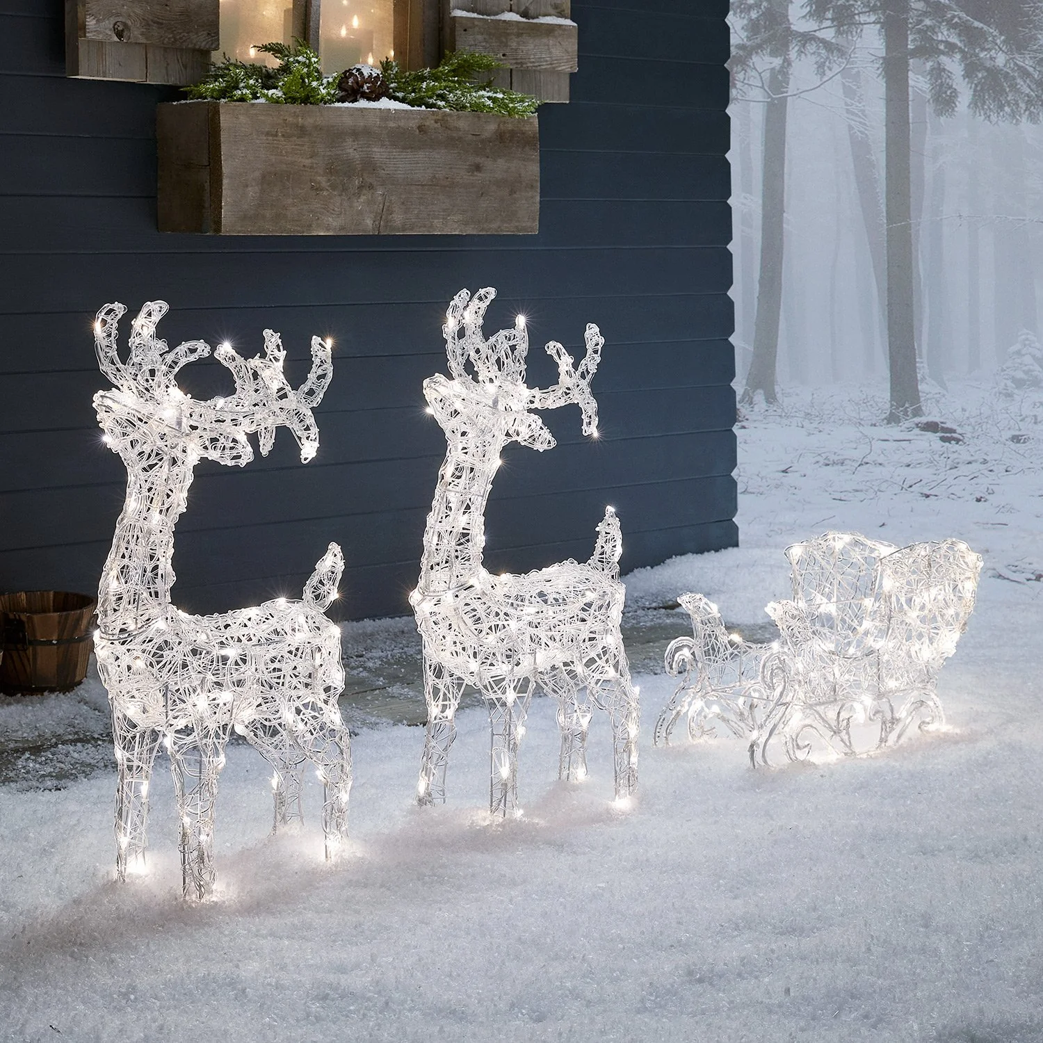 Winter Wonderland Outdoor Adventure